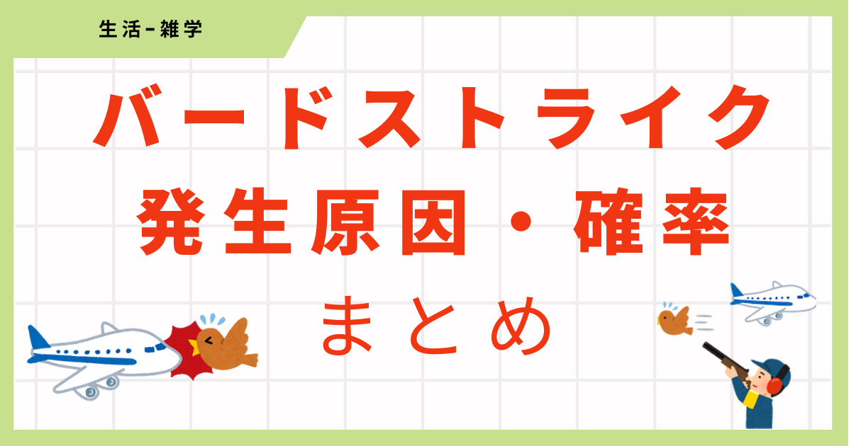 バードストライクとは？発生原因と確率、防止対策についてまとめ！