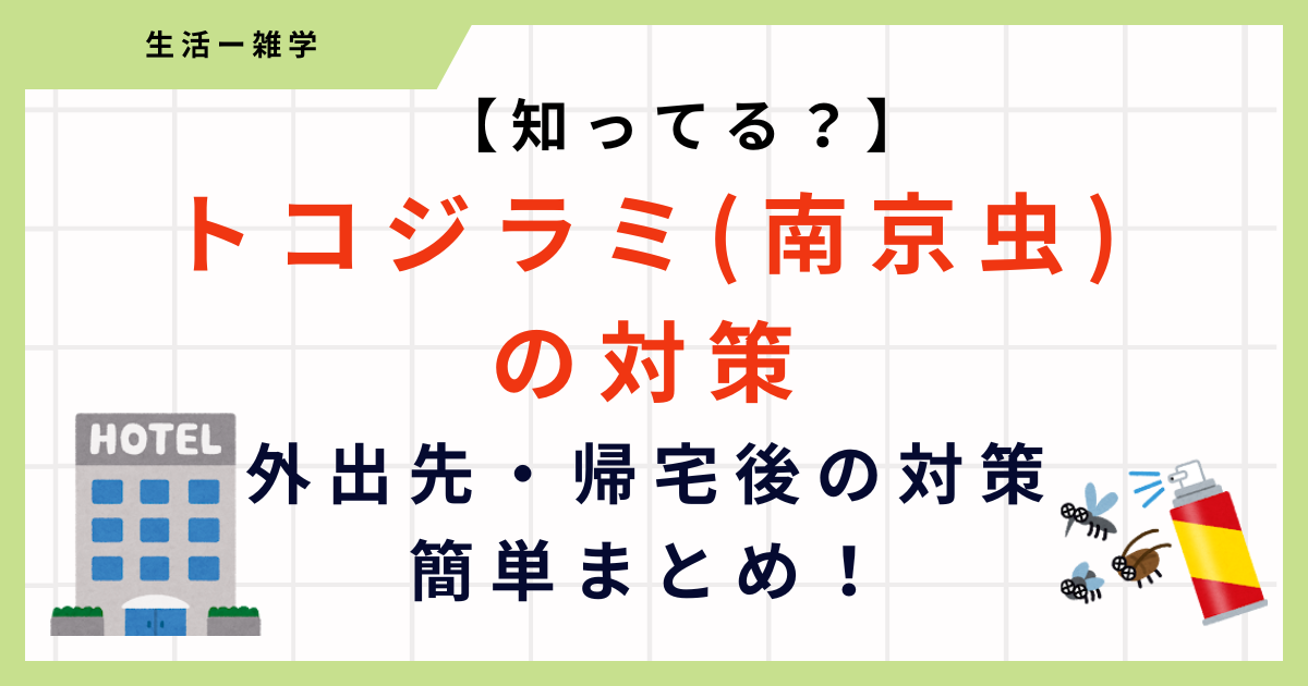 【トコジラミ】ホテルで出来る対処方法3選！家に持ち込まないようにするためには？